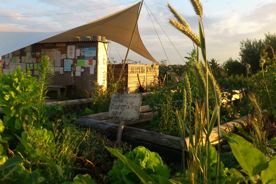 Festival Dependance Allmende-Kontor